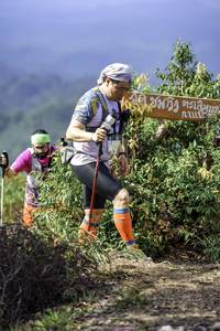 BIB: 
                            <button type="button" onclick="openModal(24768882)" class="btn btn-primary btn-sm float-right btn-popup" data-toggle="modal" data-target=".modal-high-quality">
                        <i class="fas fa-shopping-cart"></i> Add to Cart
                    </button>
                                            <button type="button" onclick="isThisMe(24768882, true)" class="btn btn-success btn-sm float-right btn-popup btn-isme hidden" data-toggle="tooltip" data-placement="bottom" title="นี่คือรูปของคุณใช่ไหม คลิกที่นี่เพื่อเอาเข้าอัลบั้ม">
                        <i class="fas fa-plus"></i> Add to album
                    </button>
                    <button type="button" onclick="isThisMe(24768882, false)" class="btn btn-warning btn-sm float-right btn-popup btn-isnotme hidden">
                        <i class="fas fa-ban"></i> Remove from album
                    </button>